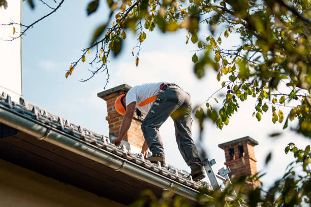 Professional Roofing Contractor in Amboy, WA