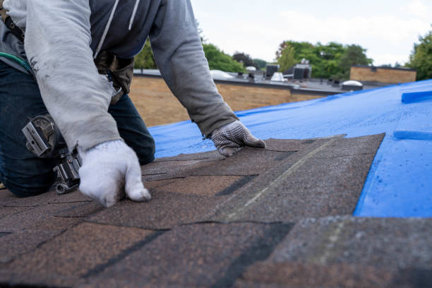 Best Flat Roof Repair Services  in Amboy, WA