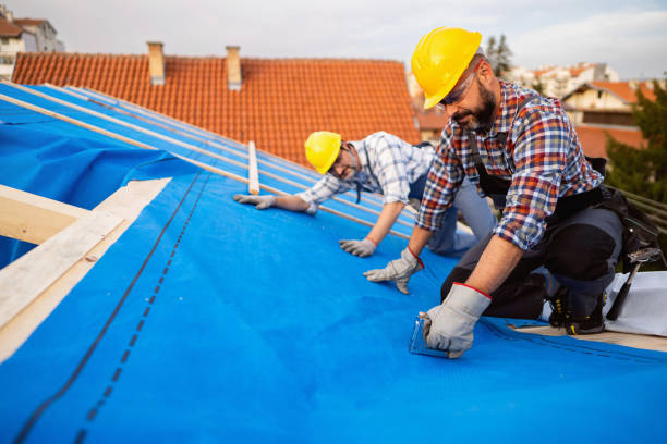 Best Roof Repair Services  in Amboy, WA