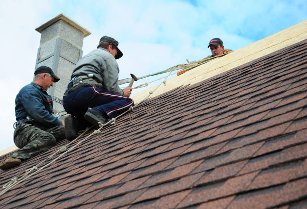 Best Shingle Roofing Installation  in Amboy, WA